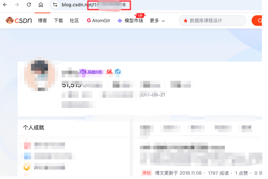 队友 CSDN 页面